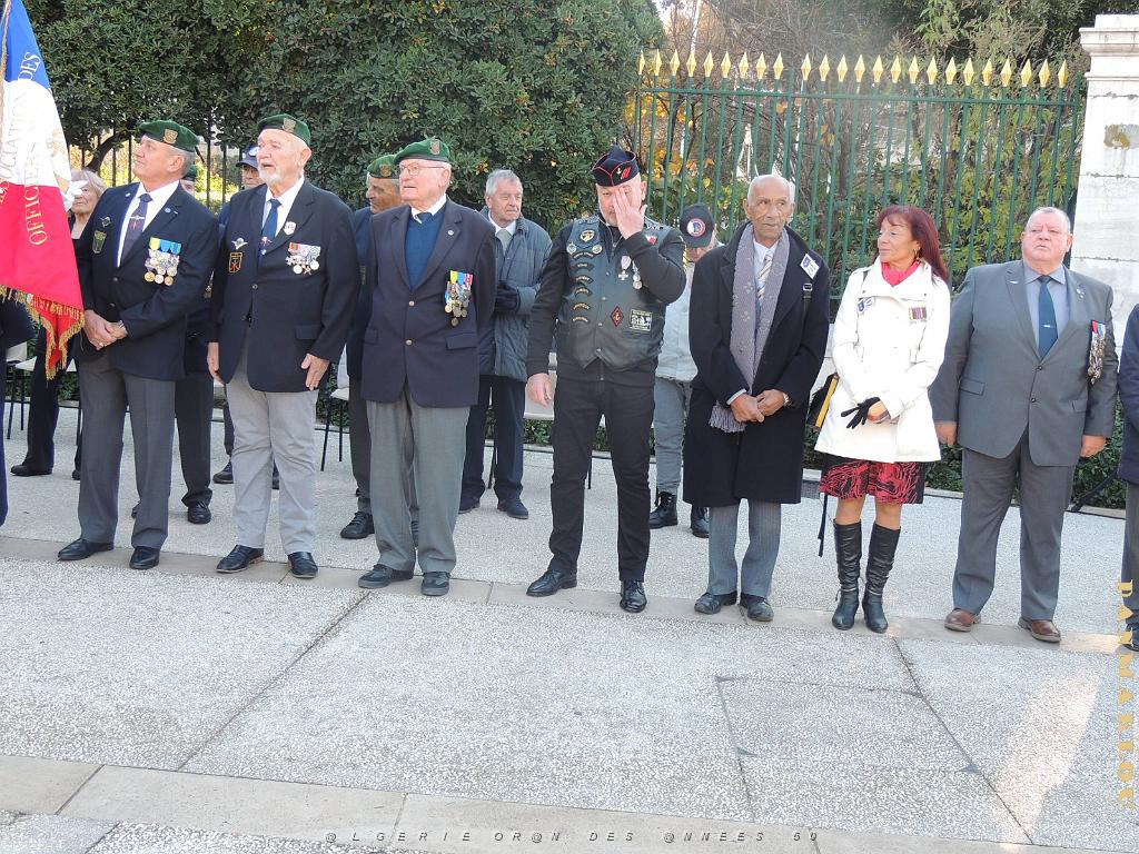 2024 12 05 TOULON HOMMAGE AUX MORTS POUR LA FRANCE EN AFN  (76).jpg